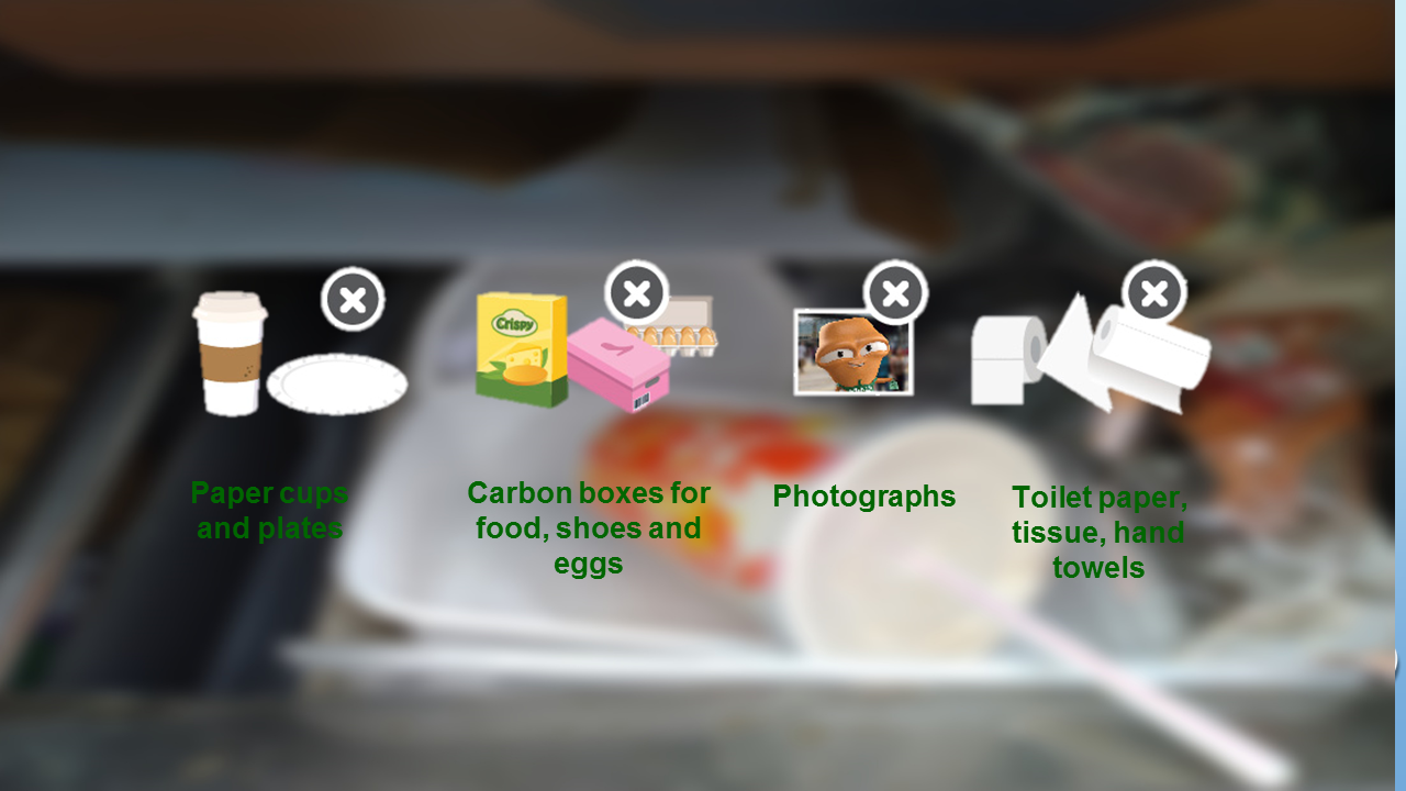 Paper Cups and plates; Carbon boxes for food, shoes and eggs; photographs; toilet paper tissue, hand towels