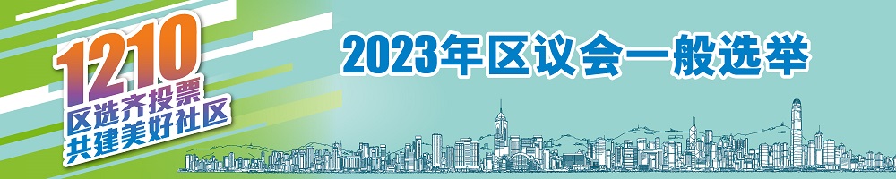 2023年区议会一般选举