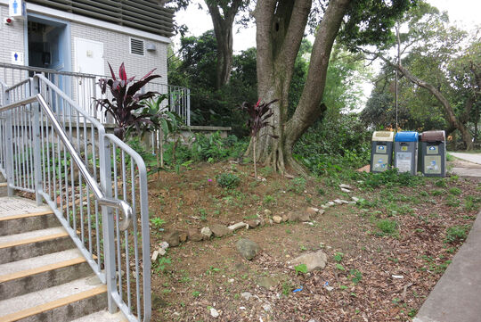 南丫島大坪公廁前