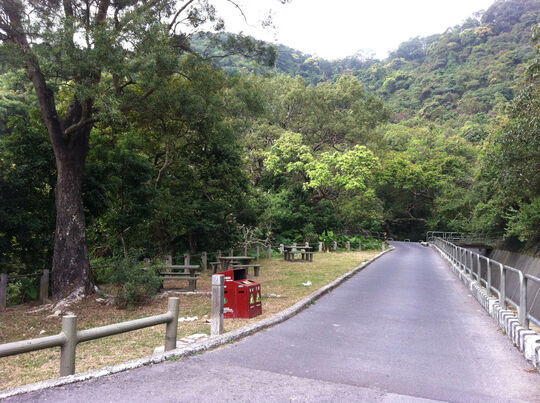 Shing Mun catchwater