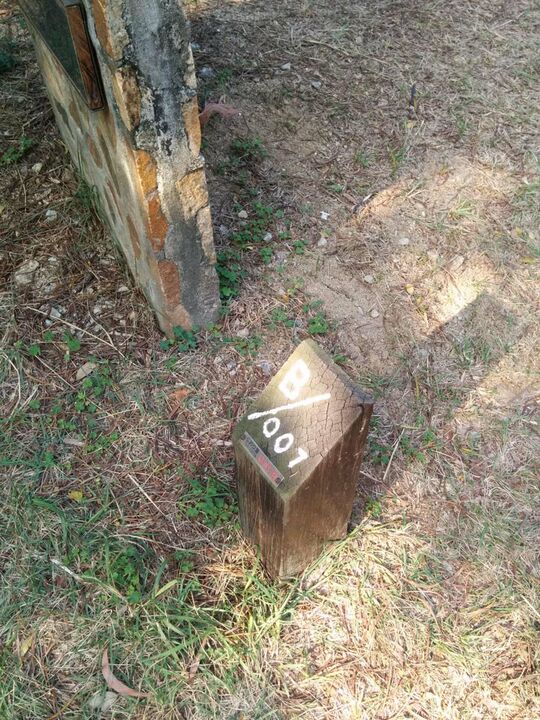 屯門麥理浩徑第十段