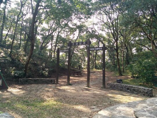 麥理浩徑第9段(近荃錦站)