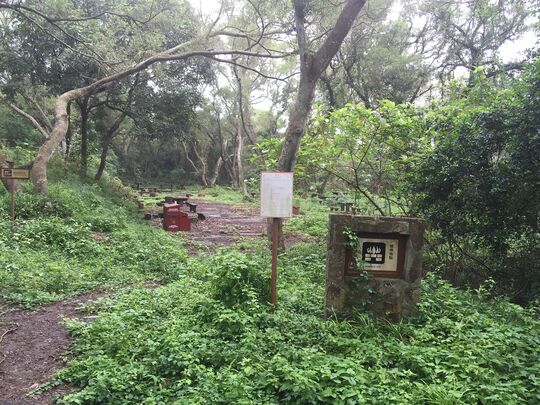 平洲奶頭燒烤用地及露營用地回收點1