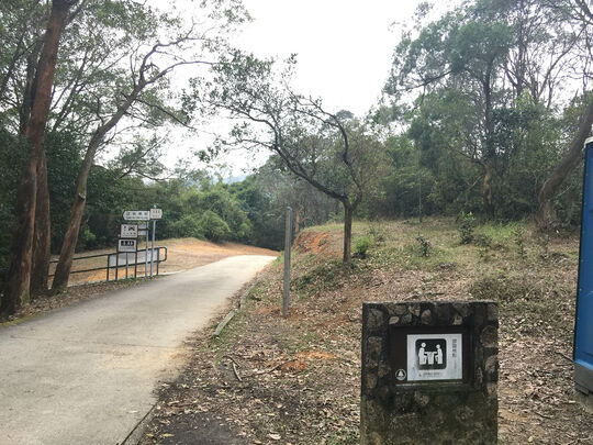 大欖林道清快塘段