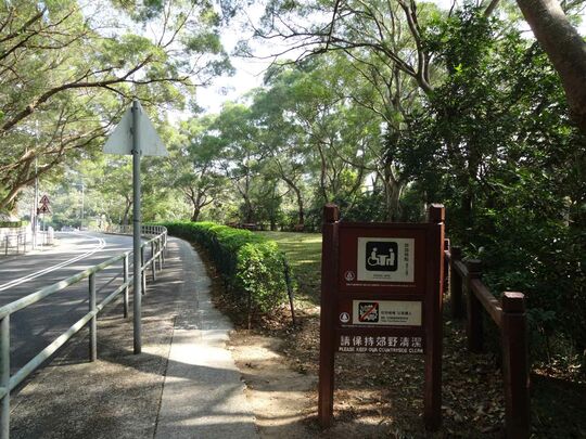 大网仔路,外展路口