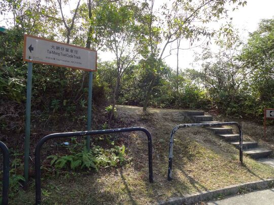 大网仔单车径旁