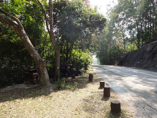 海下路(嶂上郊遊径入口对面场地)