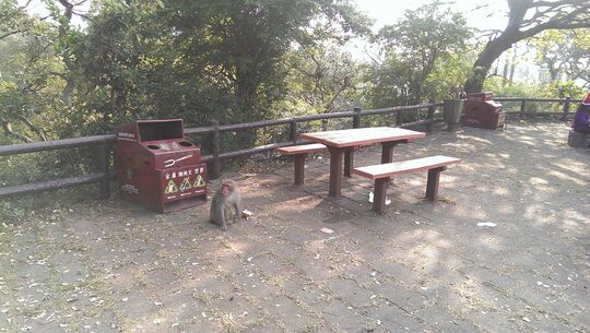 長源路燒烤場 - 石梨背水塘燒烤區1號場