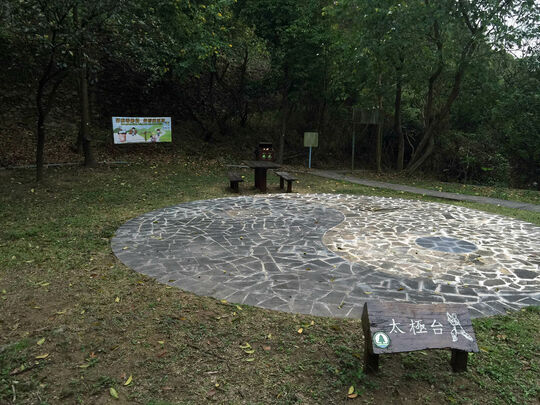 Tai Lam Forest Track (Sham Tseng Section)