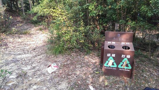 金山樹木硏習徑郊遊場