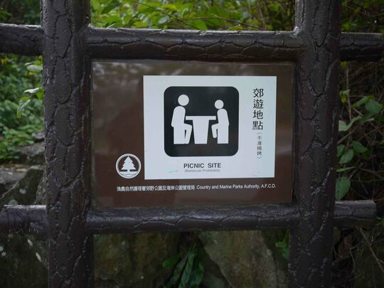 Sai Sha Road (near Shui Long Wo Tree Walk)