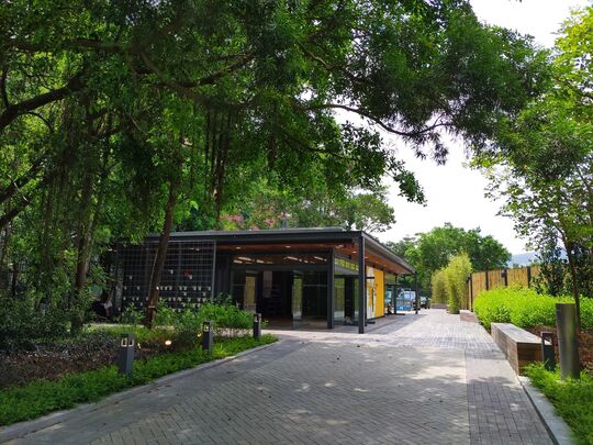 綠在大埔 - 大埔大華街25號