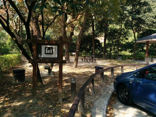 Tai Lam Forest Track (Sham Tseng Section)