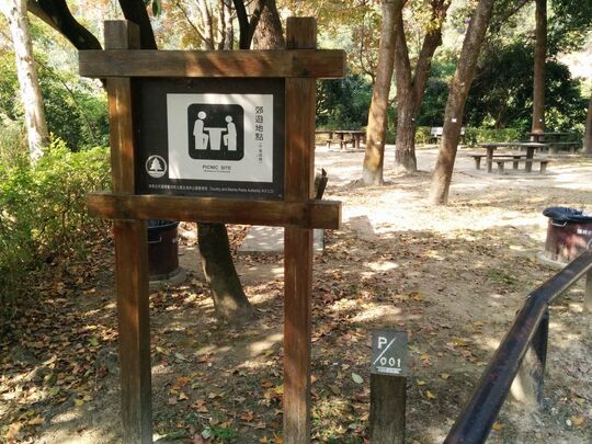 Tai Lam Forest Track (Sham Tseng Section)