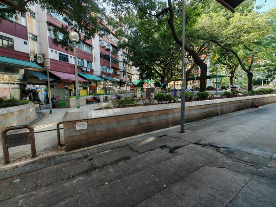 元朗炮仗坊（近保定樓對出空地）