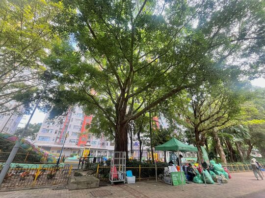 Pavement outside Tin Cheung House, Tin Ping Estate, Jockey Club Road, Sheung Shui