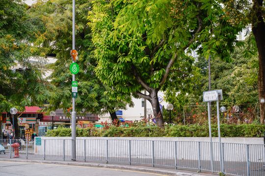 九龍灣啟仁街（近麗晶花園）對出行人路