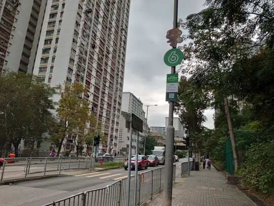 竹園道（近竹園體育館）對出行人路
