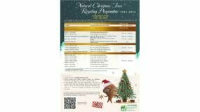 2025-26 Natural Christmas Trees Recycling Programme