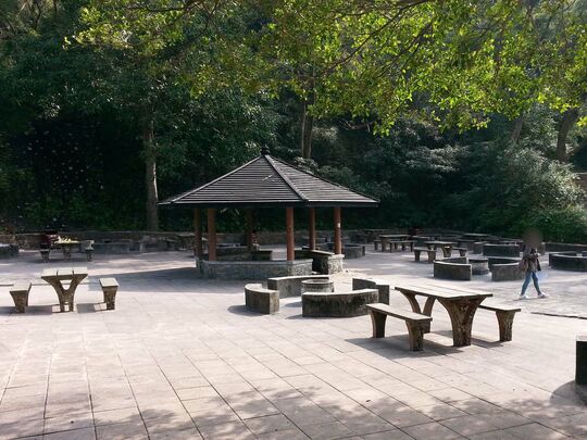 Shing Mun Reservoir, Shing Mun Barbecue Area Site 5
