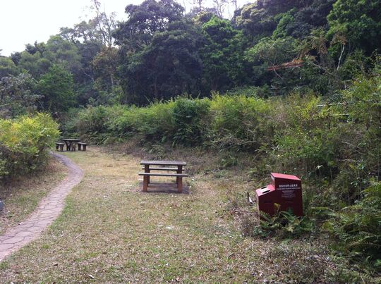 Shing Mun Reservoir, Shing Mun Picnic Site 4