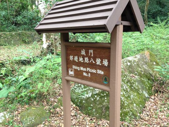 Shing Mun Picnic Site 8, Shing Mun Forest Track