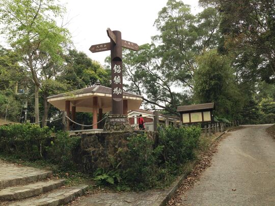 Lead Mine Pass, Shing Mun Picnic Site 10