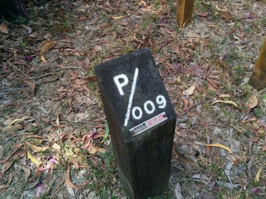 屯門麥理浩徑第十段 郊遊地點9