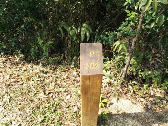 小榄越野单车径, 郊游地点302