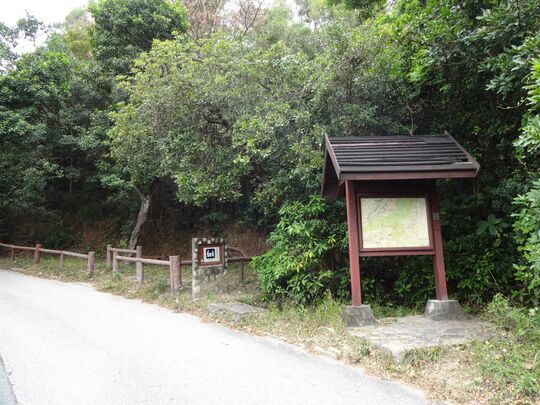 九龙扎山道 扎山道郊游地点2号场