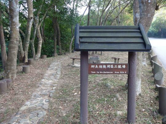 大网仔路(近鲫鱼湖) 鲫鱼湖烧烤区3号场