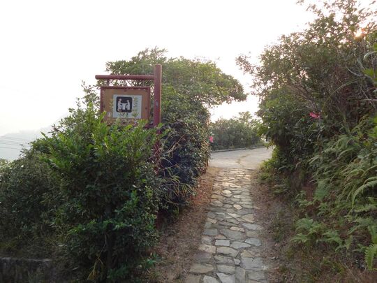 Middle Gap, Wan Chai - Picnic Site