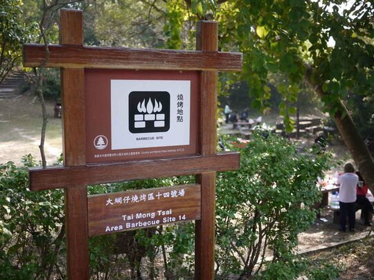 大網仔路 SKW/B/106 大網仔燒烤區14號場