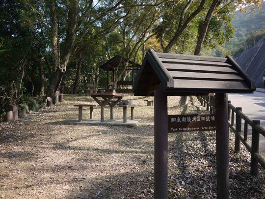 大网仔路(近鲫鱼湖) 鲫鱼湖烧烤区4号场