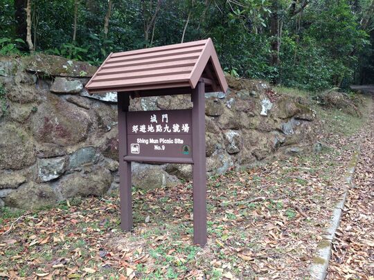 城门林道 城门郊游地点9