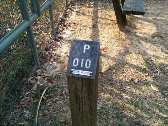 屯门麦理浩径第十段 郊游地点10