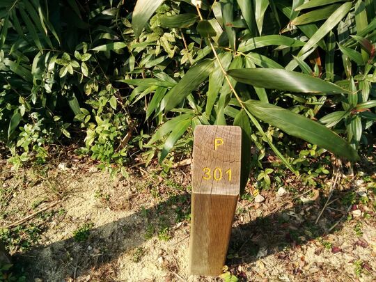 小欖越野單車徑, 郊遊地點301