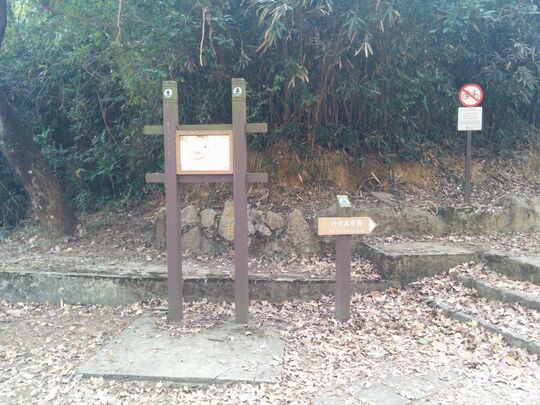 八鄉引水道 (河背) 河背露營場