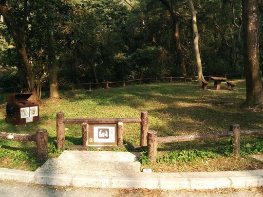 大欖林道田夫仔段 大欖郊遊地點, TL/P/401