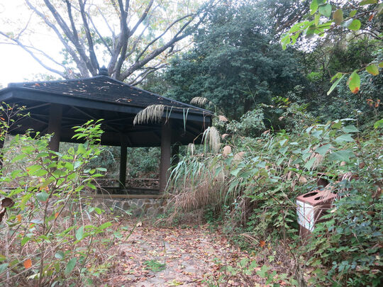 新娘潭路 八仙岭郊游地点 - PSLP1