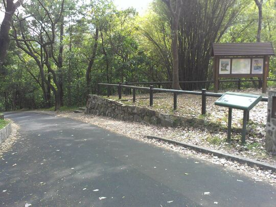 大潭水塘道 郊游地点003