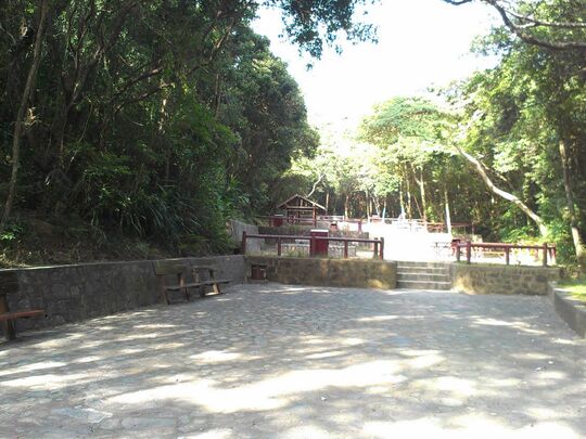 大潭水塘道 大潭烧烤区1号场