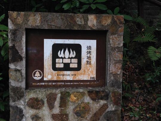 香港仔伤健乐园烧烤区4号场