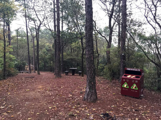 大榄林道深井段 郊游地点3