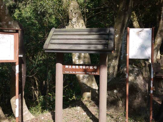 大网仔路(近鲫鱼湖) 鲫鱼湖烧烤区6号场