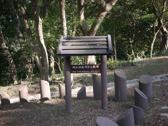 大网仔路(近鲫鱼湖) 鲫鱼湖烧烤区5号场